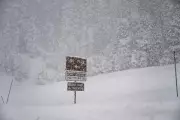California Avalanche Tragedy: Eight Skiers Found Dead, Search Continues