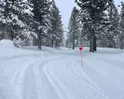 California Avalanche Tragedy: Sierra Nevada's Deadly History Revealed