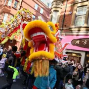 Chinese New Year 2026: Zodiac Signs Set for Financial Fortune and Greetings Guide