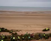 Christmas Trees Transformed into Coastal Defenses on Lancashire Beaches