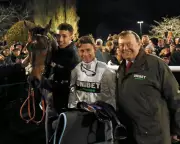 Constitution Hill May Transition to Flat Racing Full-Time After Stellar Debut