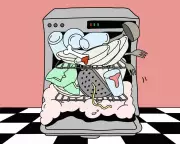 Dishwasher Debate: Is There a Right Way to Load or Just Preferences?