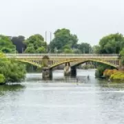 Father Avoids Prison After Drunkenly Throwing Daughter's Kittens into Thames