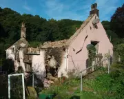 Financial Abuse Survivor Advises Ministers After Guardian Report