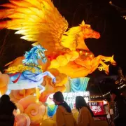 Five Chinese Zodiac Signs Face Challenges in 2026 Year of the Fire Horse