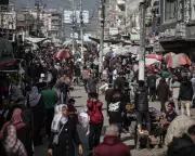 Gaza's Economic Collapse: 80% Unemployment Leaves Residents Struggling for Cash