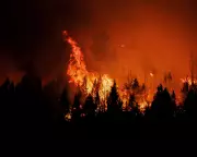 Global Photo Roundup: From Vigils to Royal Rides