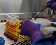 GSK Share Price Surges Past £20 on Strong 2025 Financial Results