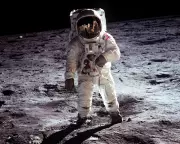 Guardian Readers' Unforgettable TV Moments: From Moon Landings to Accidental Sexts