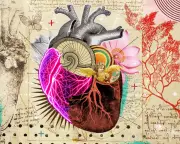 Heart Surgeon Credits Leonardo da Vinci for Transforming His Surgical Approach