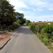 Horse and Cart Driver Arrested After Fatal E-Bike Collision in Chingford