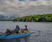 How Brazilian Fishers Are Reviving Rio's Polluted Guanabara Bay Through Mangrove Restoration