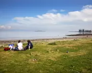 Human-Made Materials Constitute Up to Half of UK Beach Sediments, Study Reveals