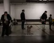 Israelis Unite in Support for Second War Against Iran Amid Air Raids