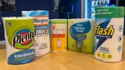 Kitchen Roll Test: Premium Brands vs Supermarket Essentials Reveals Surprising Value