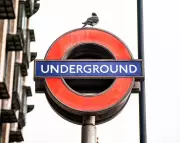 London Travel Disruption: Full List of Tube and Train Closures for February 20-22, 2026