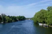 London's First Thames Swimming Spot Proposed at Kingston