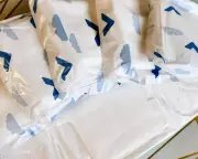 Menstrual Blood Test Offers New Hope for Cervical Cancer Screening