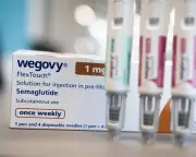 Novo Nordisk's Wegovy and Ozempic Face Revenue Forecast and Share Price Decline