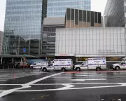 NYU Langone Health Ends Transgender Youth Program Amid Federal Pressure