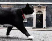 Palmerston, the Foreign Office's Celebrated 'Diplocat,' Passes Away in Bermuda