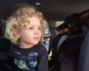 Parents of Missing Four-Year-Old Gus Lamont Plead for Answers in Major Crime Case