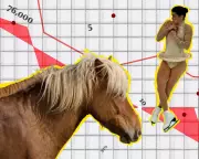 Political Donations, Figure Skating, and the Year of the Horse