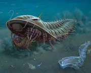 Prehistoric Fossils Inspire New Australian Stamp Series