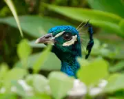 Readers' Best Photographs: A Global Gallery of Moments