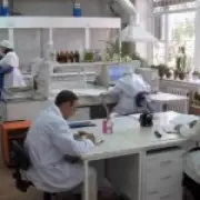 Russian Lab Behind Novichok Also Linked to Navalny's Frog Toxin Death
