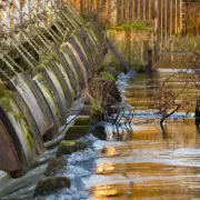 Six Flood Alerts Issued for London as Thames Threatens to Breach Banks