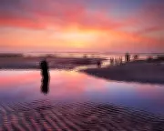 Stella Benson's 'The Secret Day': A Poetic Sanctuary from WWI