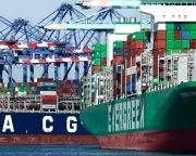 Supreme Court Strikes Down Trump Tariffs, US Halts Collection