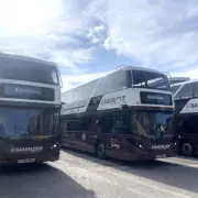 Sutton MP Calls for Bakerloop-Style Express Buses on Two Key Routes