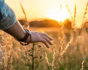 Teaching Children to Rest in a Productivity-Driven World