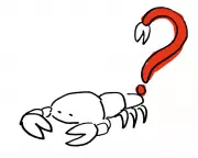 The Guardian's Thursday Quiz Tests Your General Knowledge and News Trivia