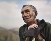 The Shepherd and the Bear: Clash of Cultures in the Pyrenees