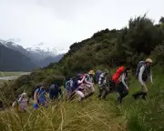 The Summit Review: A Hate-Watch Expedition Through Reality TV's Lowest Peaks