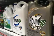 Trump Executive Order Shields Glyphosate Herbicides Amid Cancer Lawsuits
