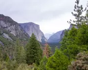 Trump Nominates Scott Socha to Lead National Park Service