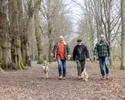 Tunbridge Wells Residents Race to Save Historic Commons from Development