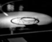 Tuskegee Basketball Coach Handcuffed After Game Security Breach