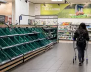 UK Food System a 'Tinderbox' Vulnerable to Riots from Single Shock, Experts Warn