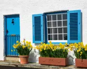 UK Housing Market Sees Strong Rebound with Record Mortgage Options for First-Time Buyers