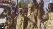 UN Experts Cite 'Hallmarks of Genocide' in Sudanese Rebel Siege of Darfur City