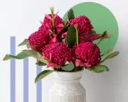 Valentine's Day Flowers: The Redo of Roses