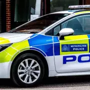 Walthamstow Murder Victim Identified as Ghoerghe Trica Following Fatal Stabbing