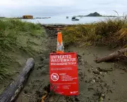 Wellington's Sewage Crisis: Millions of Liters of Raw Waste Pollute Ocean