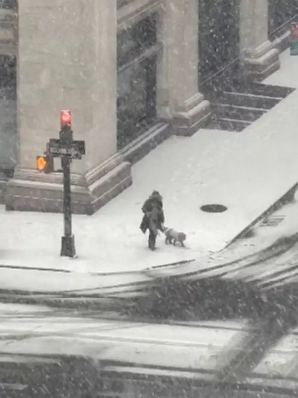 Adela Ramirez Captures Best Phone Picture of Dog in New York Snow