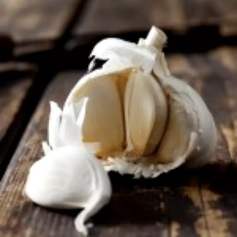 AI Chatbots Endorse Dangerous Health Myths, Including Rectal Garlic Insertion